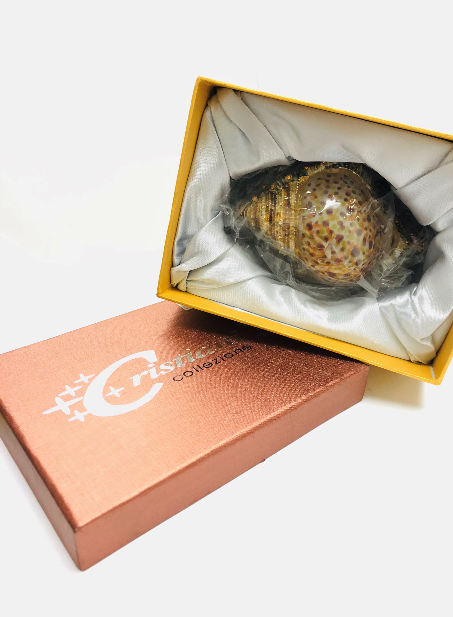 Cristiani Collezione Large Snail Trinket Box